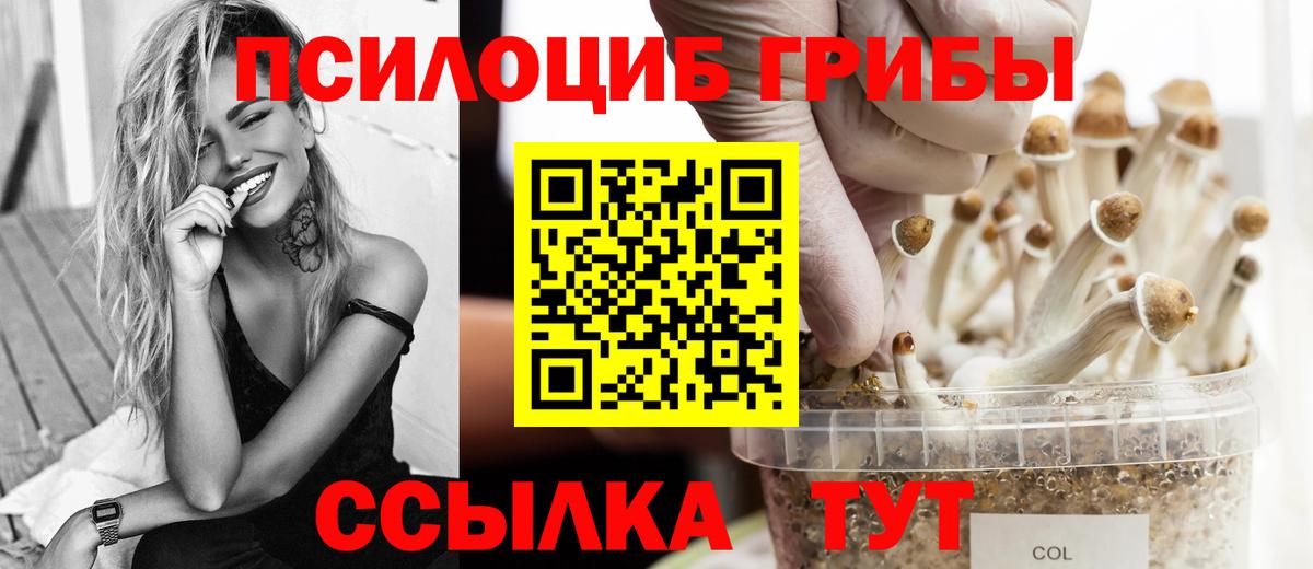 Тамбов  Псилоцибиновые грибы MAGIC MUSHROOMS  Вход с VPN 